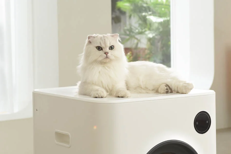 cat self cleaning litter box